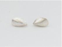 Ohrstecker Miesmuscheln, 925 Sterlingsilber