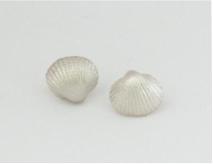 Ohrstecker Kleine Muscheln, 925 Sterlingsilber